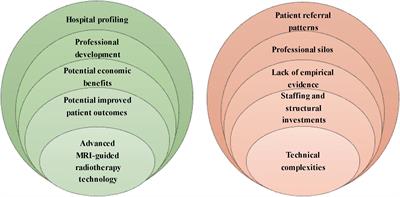 Problems and Promises of Introducing the Magnetic Resonance Imaging Linear Accelerator Into Routine Care: The Case of Prostate Cancer